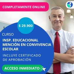 publicidad Curso inspector educacional