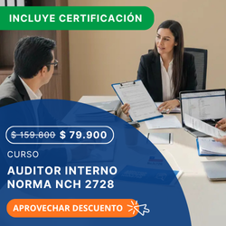 publicidad Auditor interno Nch2728